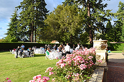 A FAIRY TALE WEDDING